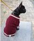 【ドッグウェア】TYPY初！お揃いが叶うDOGチルデンニット