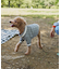 【ドッグウェア】TYPY初！お揃いが叶うDOGチルデンニット