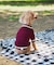 【ドッグウェア】TYPY初！お揃いが叶うDOGチルデンニット