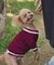 【ドッグウェア】TYPY初！お揃いが叶うDOGチルデンニット