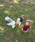 【ドッグウェア】TYPY初！お揃いが叶うDOGチルデンニット