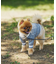 【ドッグウェア】TYPY初！お揃いが叶うDOGチルデンニット