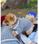 【ドッグウェア】TYPY初！お揃いが叶うDOGチルデンニット