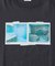 VINTAGEアソートフォトTee