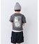 【KIDS】犬アソートTEE