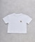 【KIDS】犬アソートTEE