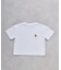 【KIDS】犬アソートTEE
