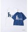 【KIDS】【TYPY×LOTTE板ガム】持続冷感バックロゴクールミントTEE