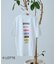 【TYPY×LOTTE板ガム】持続冷感バックロゴ板ガム集合ポケットTEE