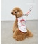 【KIDS】【TOY STORY】ストレッチメッシュDOGウェア