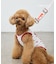 【KIDS】【TOY STORY】ストレッチメッシュDOGウェア