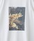 【ユニセックス】ボタニカルアソートフォトTシャツ
