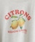 【ユニセックス】レモングラフィックTシャツ《WEB限定カラーあり》