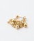 【GOLDY】ツブツブピアス