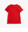 フラッグリブインサートTシャツ