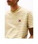 レギュラーブルトンストライプTシャツ