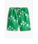 BOYS ストレッチポプリンプリントショートパンツ