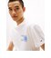 レギュラーペイズリーフラッグTシャツ