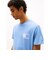 レギュラーペイズリーフラッグTシャツ