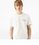レギュラーノベルティTシャツ