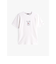 シーズナルフラッグロゴTシャツ