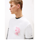 レギュラーノベルティフェアTシャツ
