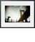 THE PHOTOGRAPHER AND THE BRIDGE ARTSHOT 