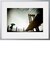 THE PHOTOGRAPHER AND THE BRIDGE ARTSHOT 