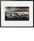 DEPART GRAND PRIX D'ALBI 1967  ARTSHOT
