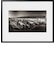 DEPART GRAND PRIX D'ALBI 1967  ARTSHOT