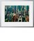URBAN DENSITY  ARTSHOT