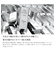 ネックレス レディース 18金 プラチナ 羽 フェザー シルバー シルバー925 ブランド ヴィクトリア ペンダント WHITE Label p5058-w LSC ララクリスティー