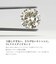 ダイヤモンド ネックレス シャンパンカラー VSクラス 6本爪 0.3ct 一粒 プラチナ PT900 K18 18金 ゴールド 鑑別カード付