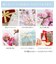 【選べる12誕生石xテディベア(ミントカラー)】ネックレス レディース シルバー ダイヤモンド 12誕生石 （ 1・2・3・4・5・6・7・8・9・10・11・12月） オープン ハート セット 誕生日 プレゼント シアーズ