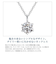 【選べるテディベア】ネックレス レディース キュービックジルコニア 一粒 テディベア 一粒CZ 誕生日 プレゼント シアーズ
