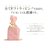【選べるテディベア】ネックレス レディース キュービックジルコニア 一粒 テディベア 一粒CZ 誕生日 プレゼント シアーズ