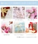 ネックレス レディース 一粒 あこや真珠 パール スタッド ピアス セット プリザーブドフラワー 薔薇 ローズ ボックス