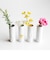 Love Mini vases Set of 4pcs