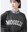２＿ＭＯＳＥＬＬＥラグラン