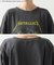 １＿ＭＥＴＡＬＬＩＣＡ＿ＨＳ