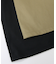 ２＿Ｄｉｃｋｉｅｓチノフレア