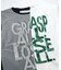 ２＿ＧＲＡＳＰメッシュＦＲ