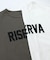 ２＿ＲＩＳＥＲＶＡドルマン