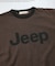 １＿ＪｅｅｐリンガーＨＳＴ