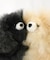ＣＯＳＹベアチャーム