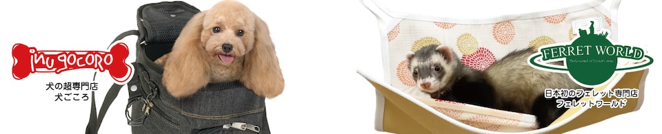 犬ごころ＆フェレットワールド
