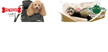 犬ごころ＆フェレットワールド