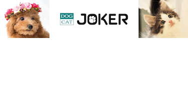 DOG&CAT JOKER