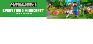 EVERYTHING MINECRAFT