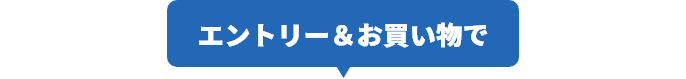 エントリー&お買い物で